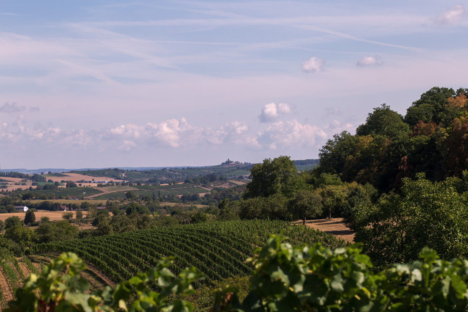 Blick vom Horn zur Ravensburg