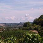 Blick vom Horn zur Ravensburg