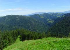 Blick vom Hüttchopf Richtung Säntis