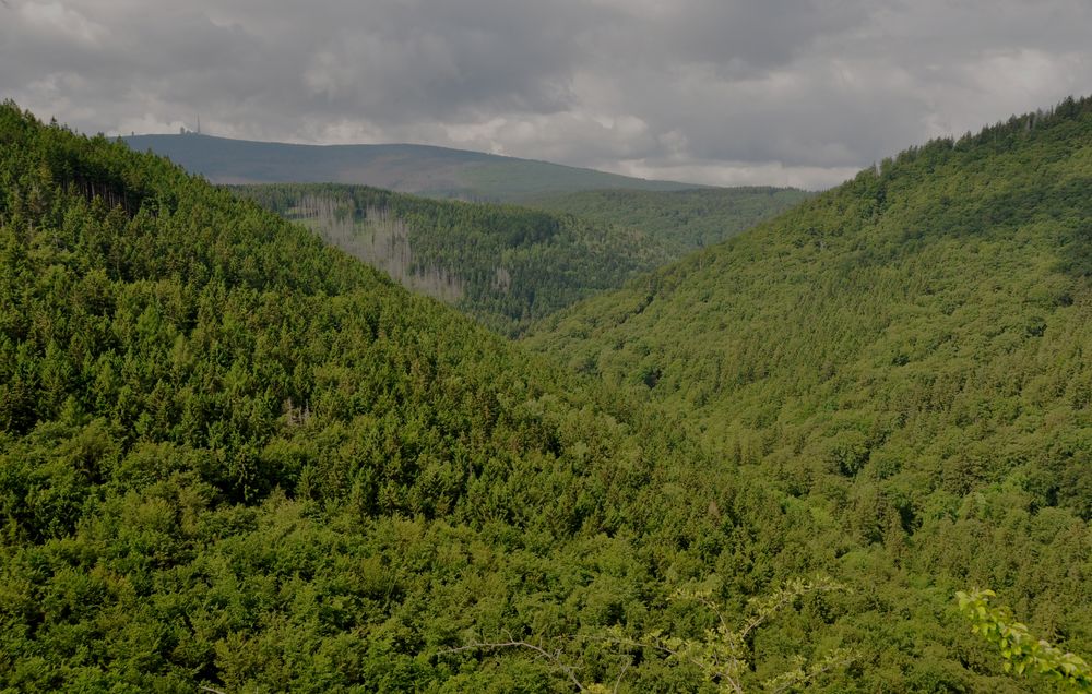 Blick vom Ilsestein