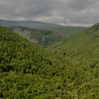 Blick vom Ilsestein