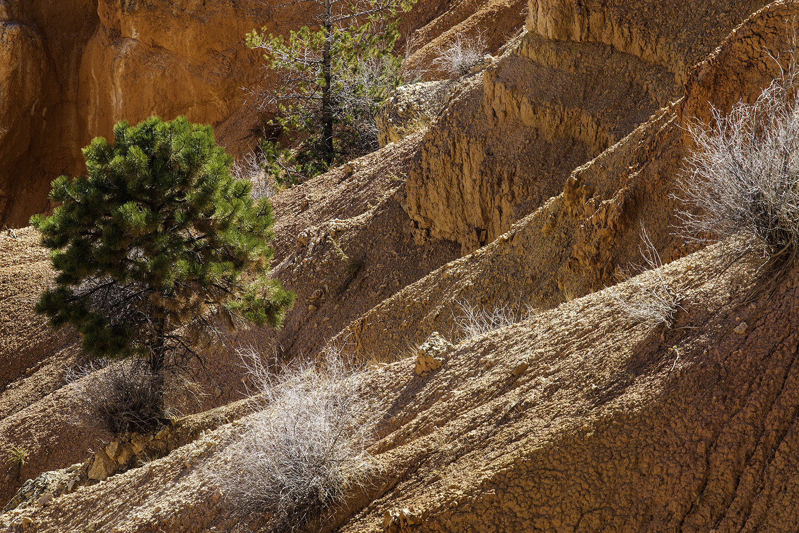 Blick vom Inspiration Point, Bryce Canyon, HDR, Utah, USA