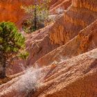 Blick vom Inspiration Point, Bryce Canyon, HDR, Utah, USA