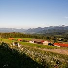 Blick vom Irschenberg über's Inntal