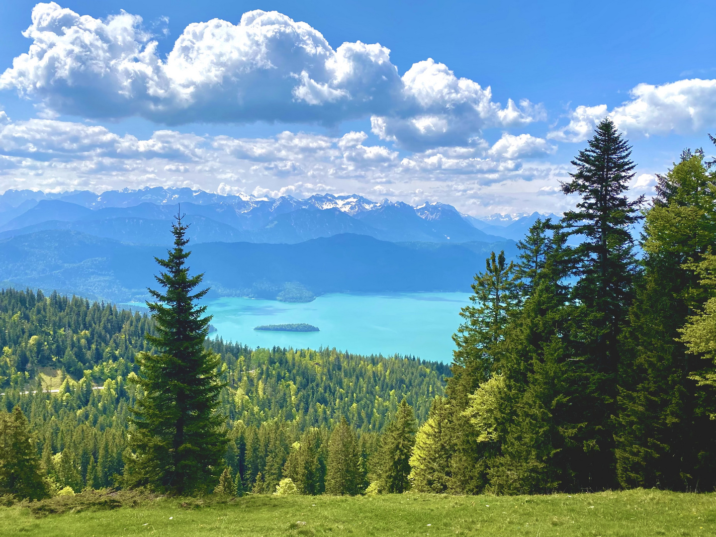 Blick vom Jochberg auf den Walchensee 