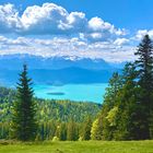 Blick vom Jochberg auf den Walchensee 