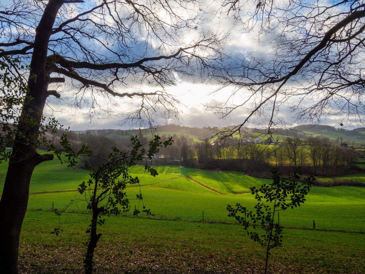 Blick vom Jüttermannsberg ins Felderbachtal am 1. Weihnachtstag