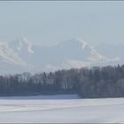 Blick vom Jura zum Berner Oberland