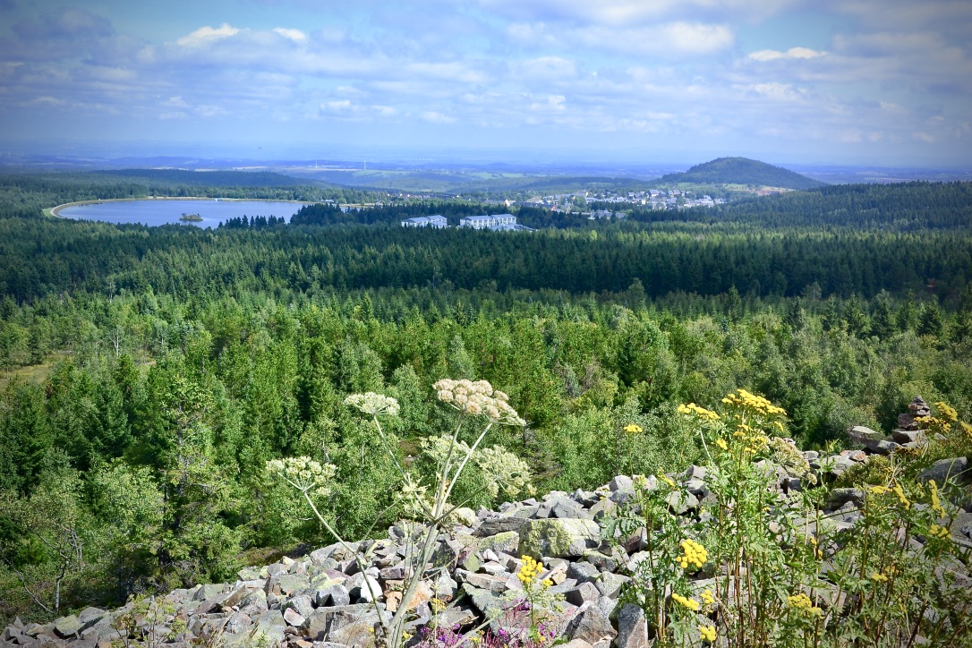 Blick vom Kahleberg auf die Galgenteiche…