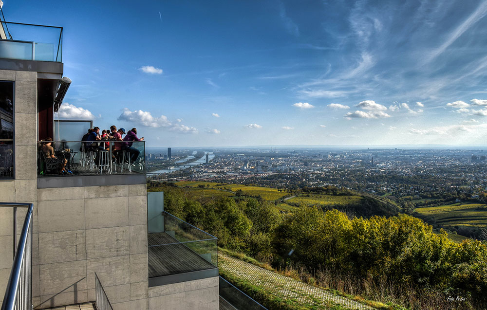 Blick vom Kahlenberg...