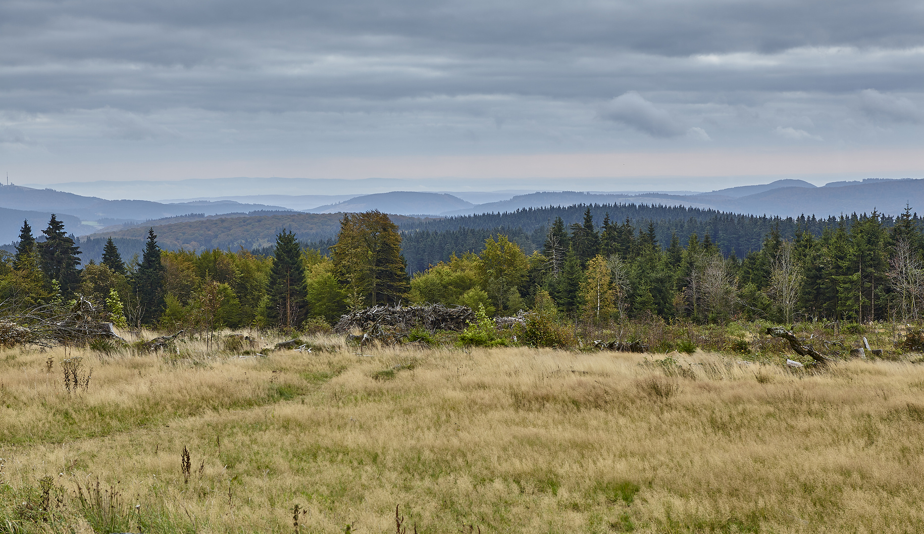 Blick vom Kahler Asten