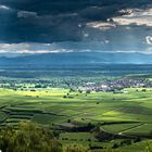 Blick vom Kaiserstuhl über den Rhein in die Vogesen