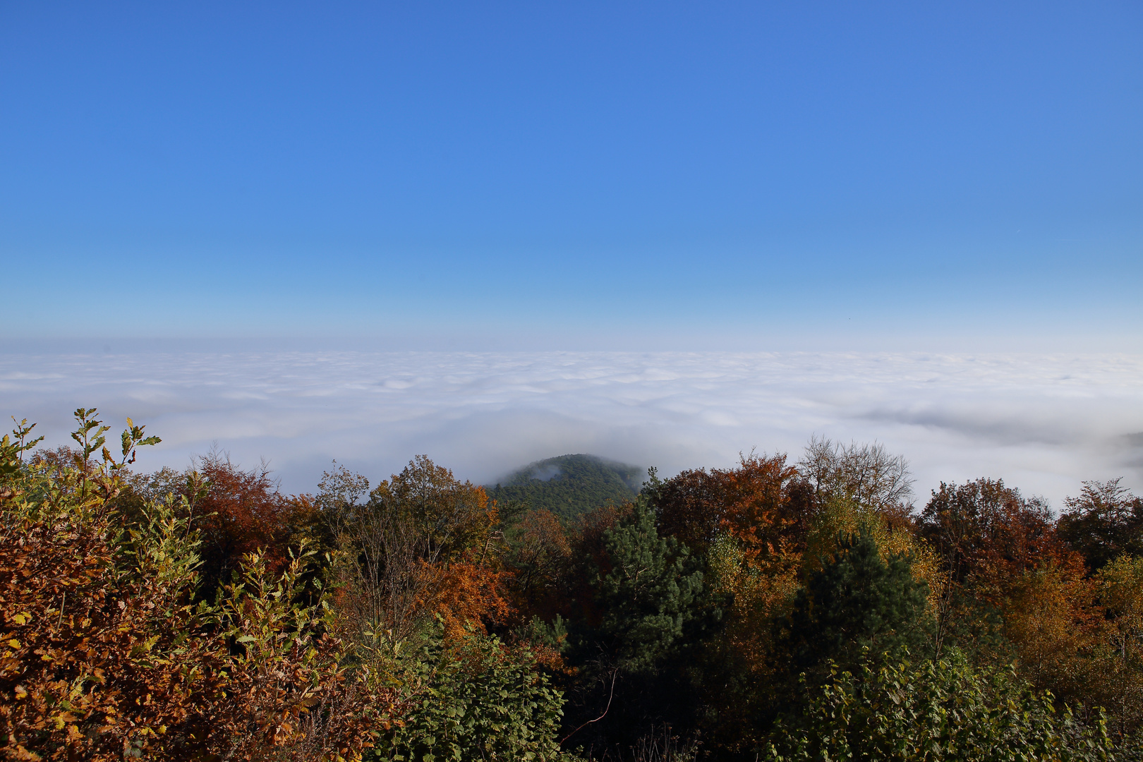 Blick vom Kalmit, 672 m ü. NHN