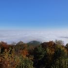 Blick vom Kalmit, 672 m ü. NHN