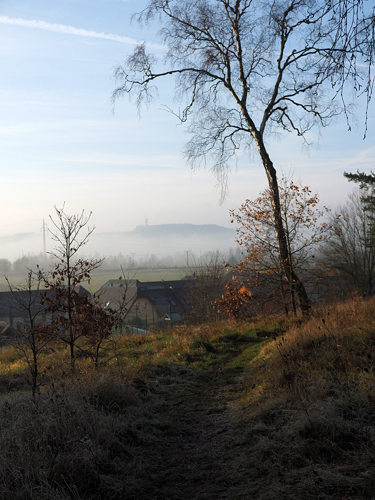 Blick vom Kammerbühl Richtung Oberpfälzer Wald