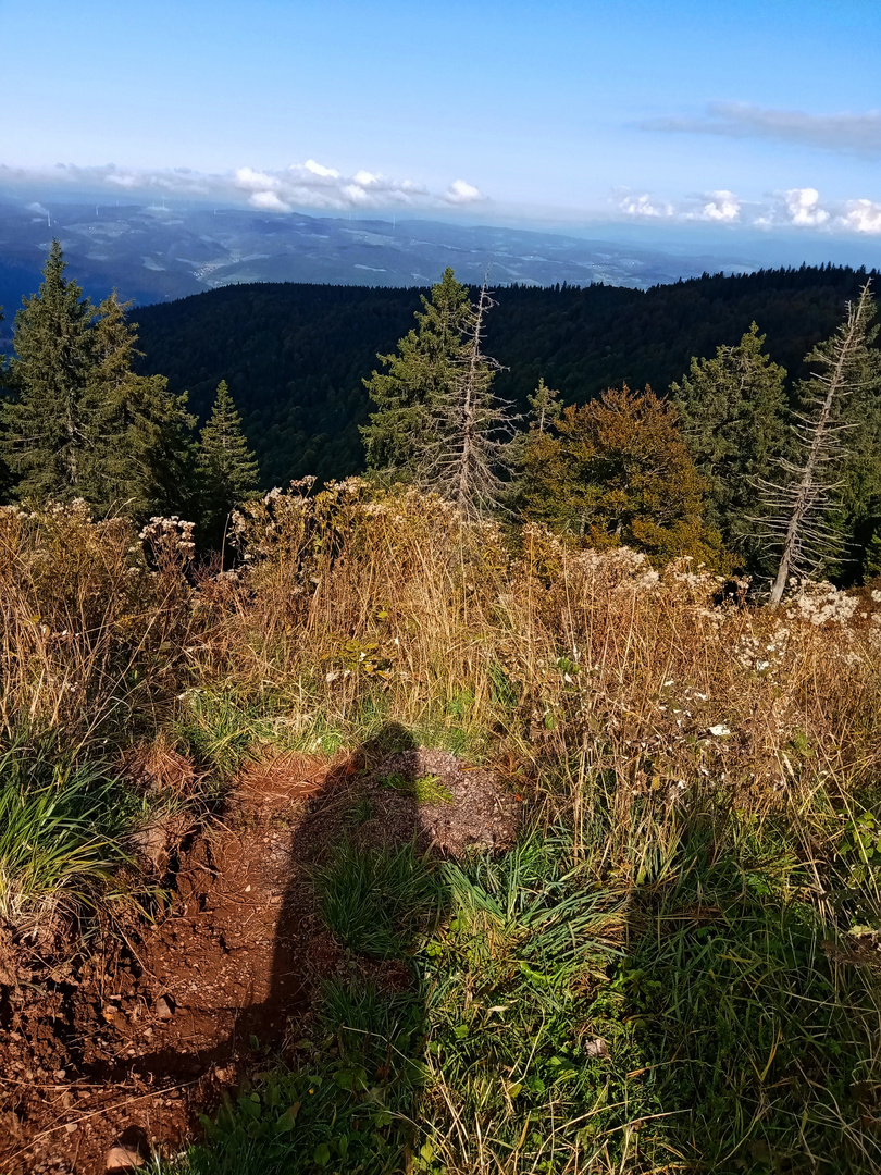 Blick vom Kandel