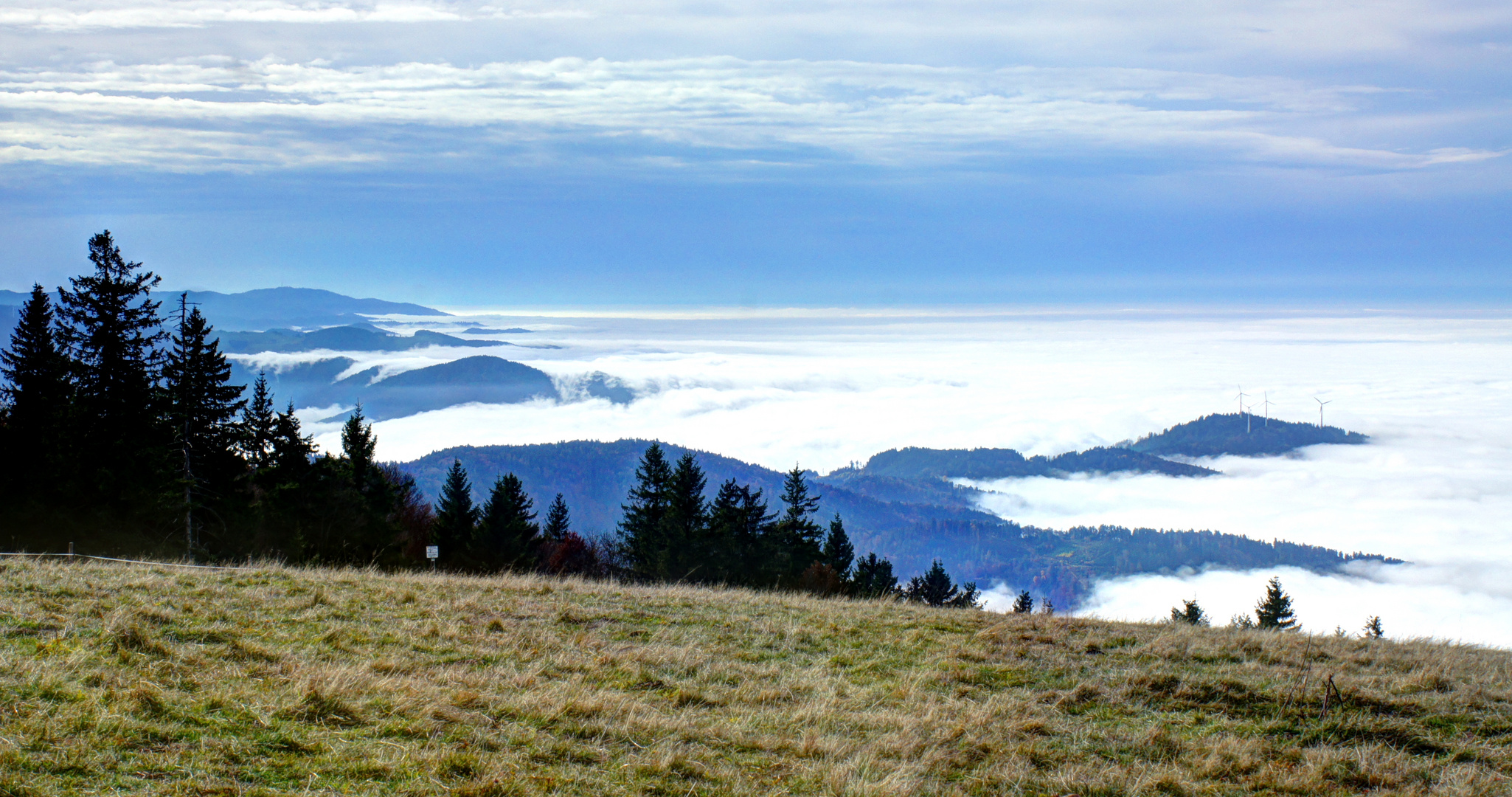 Blick vom Kandel