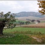 Blick vom Kapellenberg