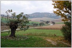 Blick vom Kapellenberg