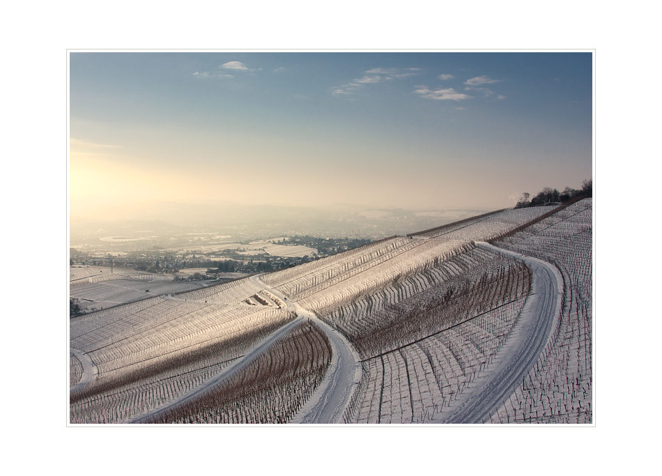 Blick vom Kappelberg