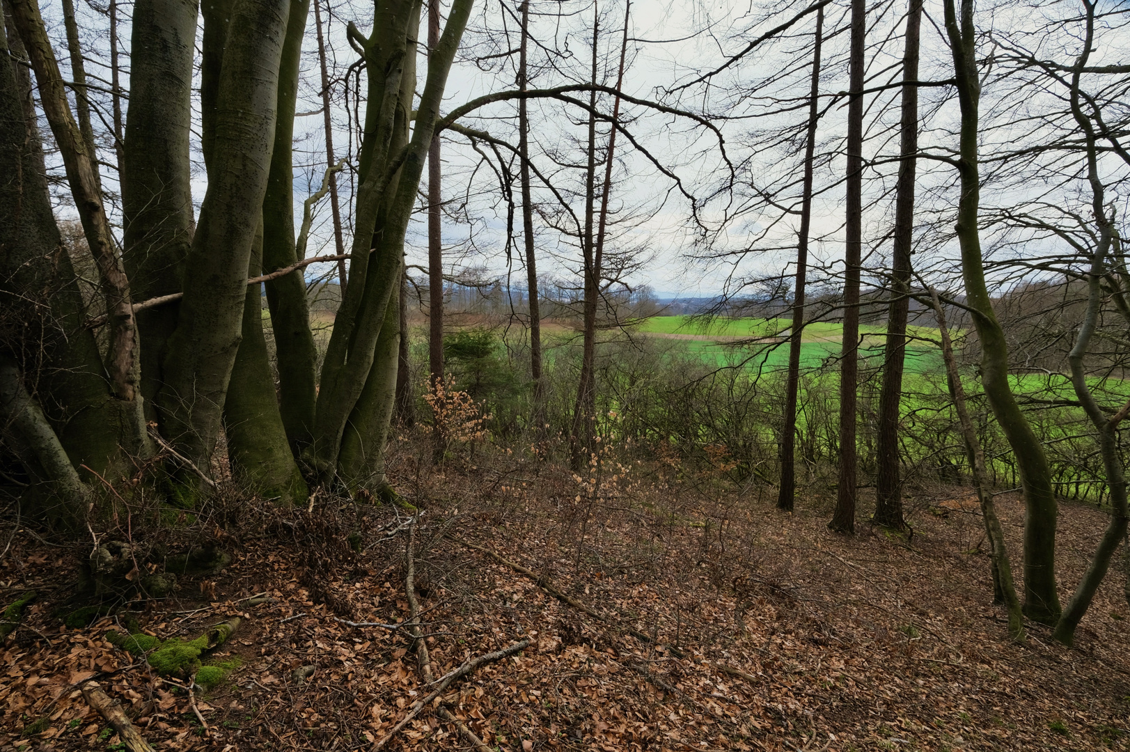 Blick vom Karlsberg