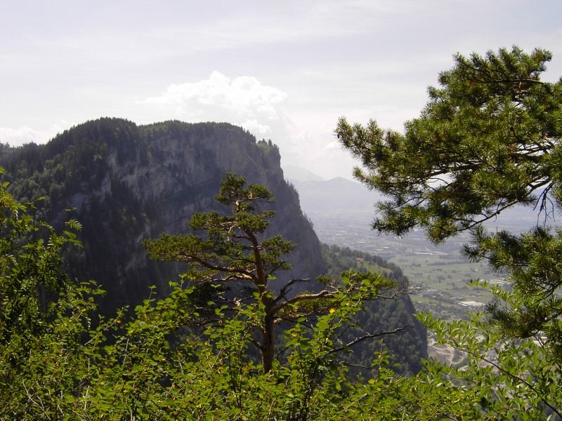 Blick vom Karren ins Rheintal