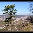 Blick vom Kernberg