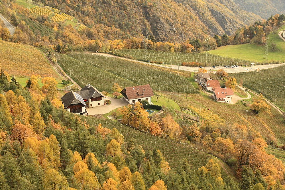 Blick vom Keschtenweg auf die Weinberge am Ritten