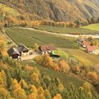 Blick vom Keschtenweg auf die Weinberge am Ritten