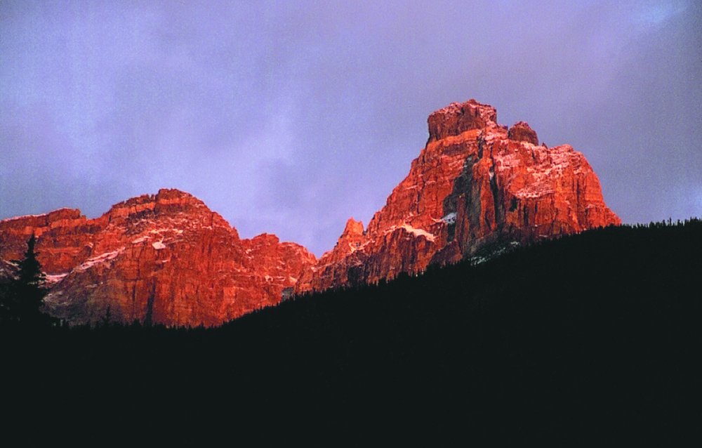 Blick vom Kicking-Horse Campground