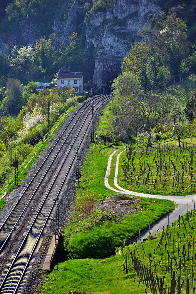 Blick vom Kirchberg in Istein