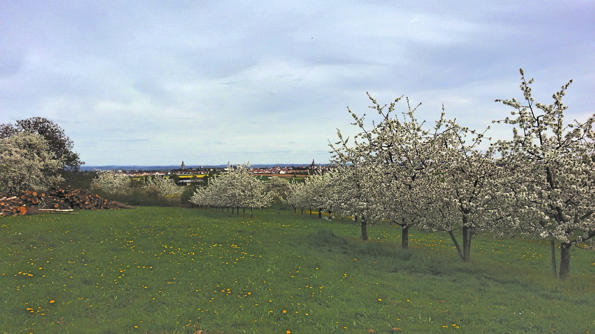 Blick vom Kirschenberg