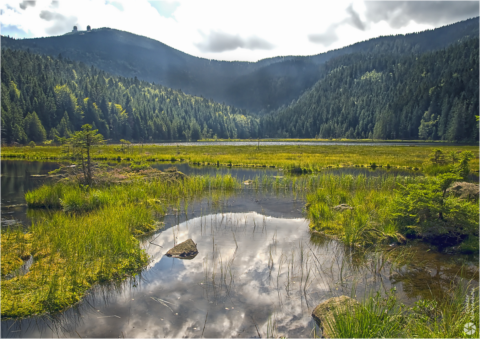 Blick vom Kleinen Arbersee auf den Großen Arber