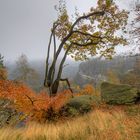 Blick vom Kleinen Winterberg