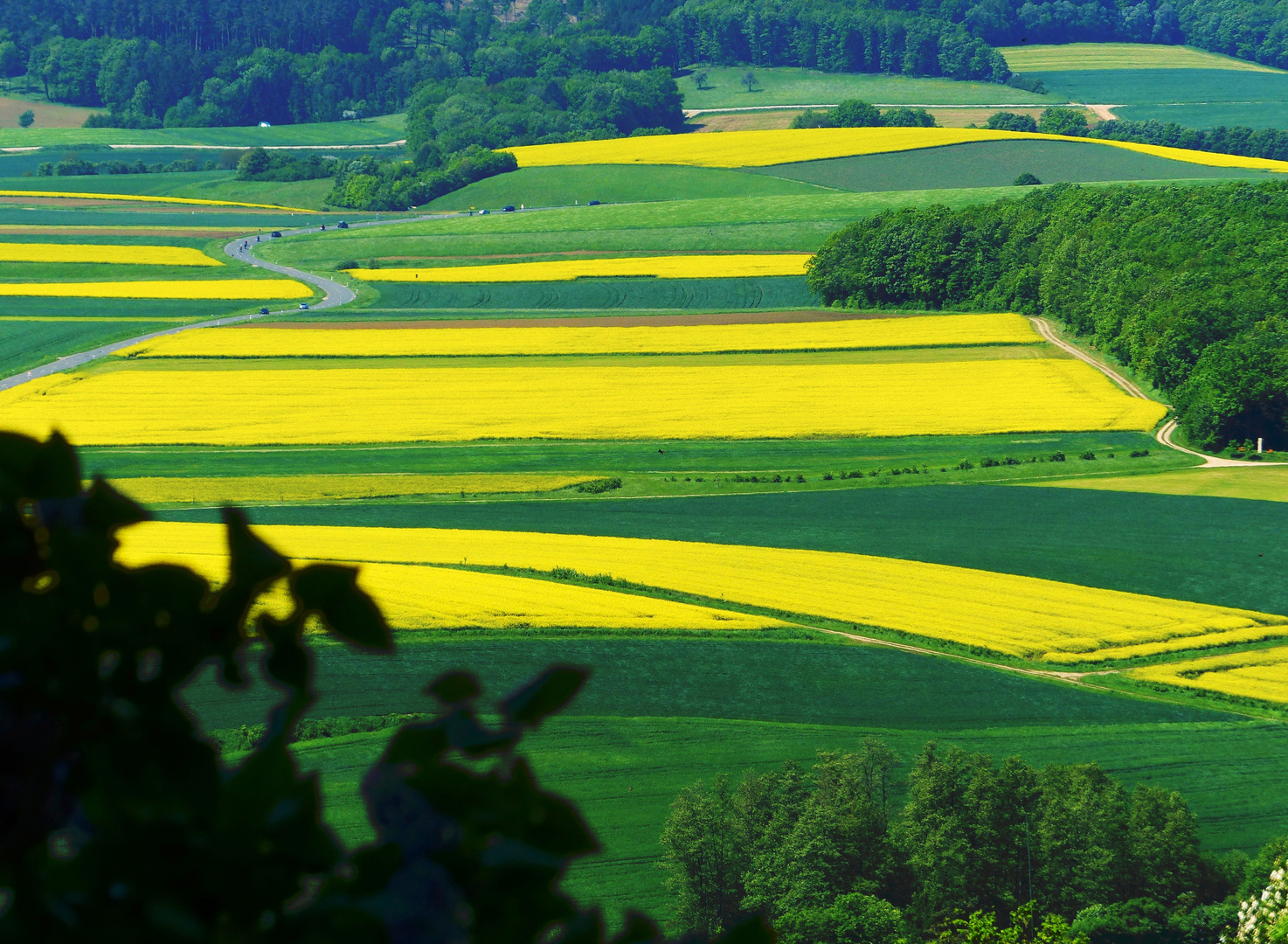 Blick vom Kloster Banz auf Rapsfelder