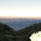 Blick vom Kloster nach Assisi