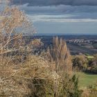 Blick vom Kloster Santa Vittoria aus auf Barchi und bis auf die Adria