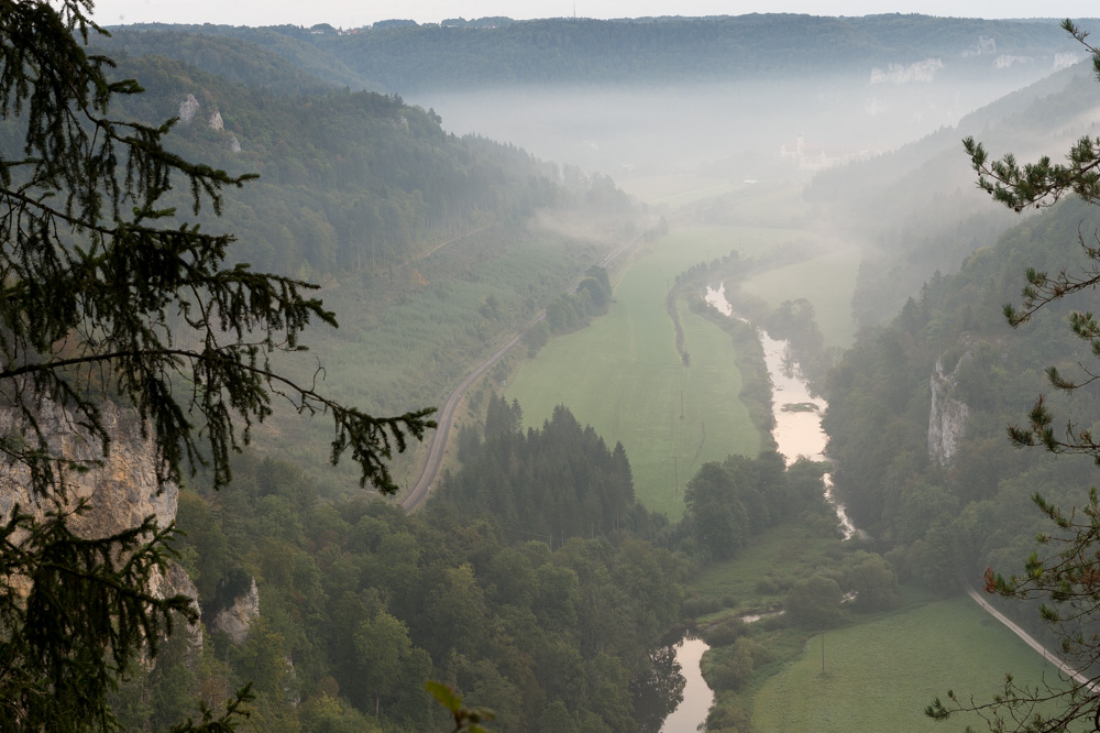 Blick vom Knopfmacherfelsen, Donautal, Beuron