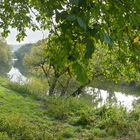 Blick vom Kochertalradweg