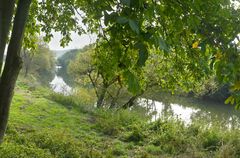 Blick vom Kochertalradweg