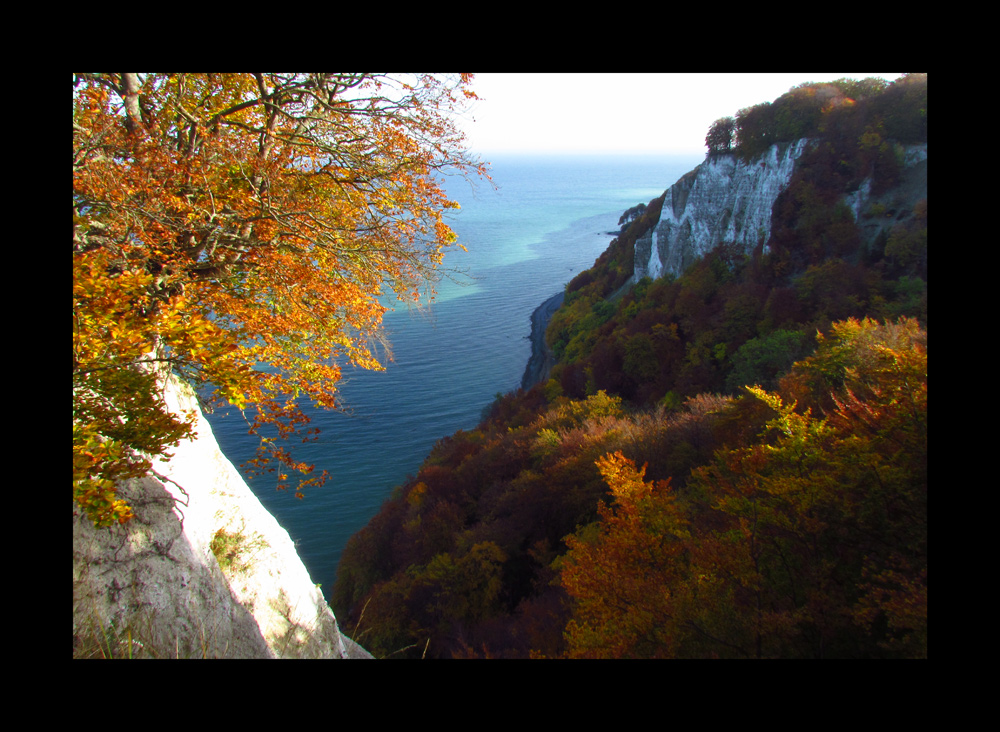 Blick vom Königsstuhl