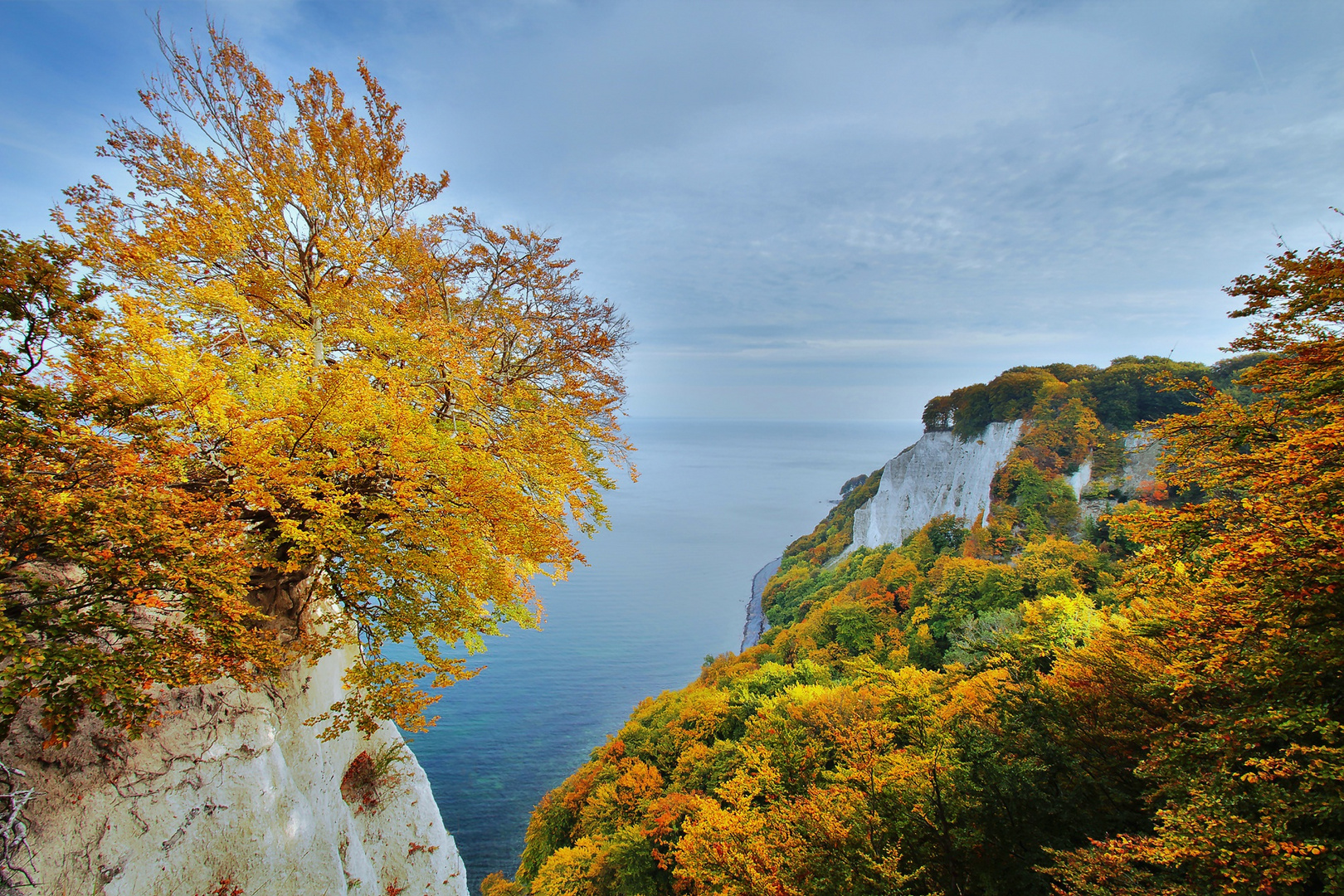 ~ Blick vom Königsstuhl ~