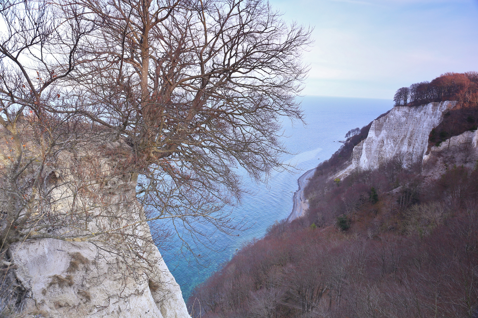 Blick vom Königsstuhl