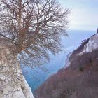 Blick vom Königsstuhl