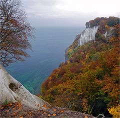 Blick vom Königsstuhl nach Süden