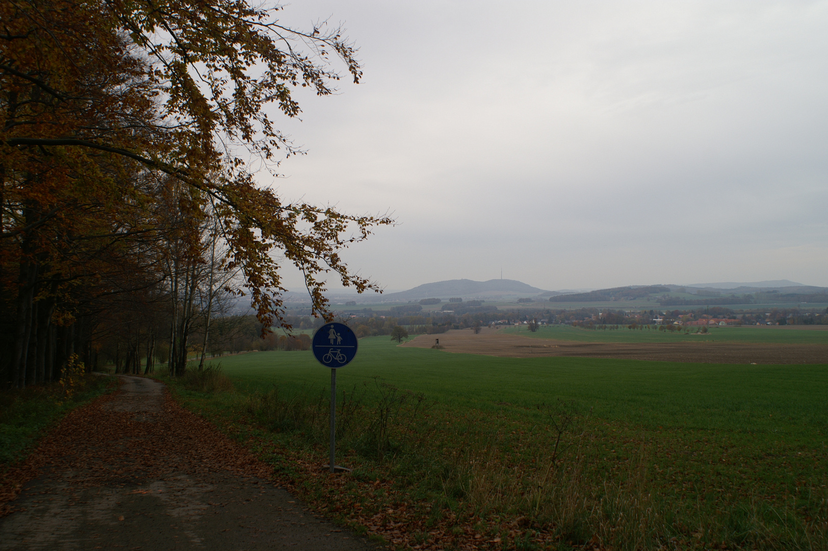 Blick vom Kottmart zum Löbauer Berg