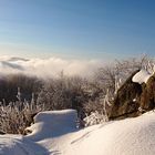 Blick vom Kreuzberg / Rhön