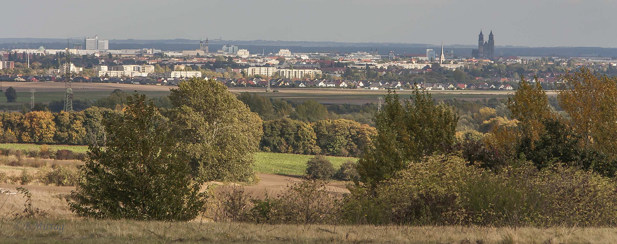Blick vom Kreuzberg Richtung Magdeburg