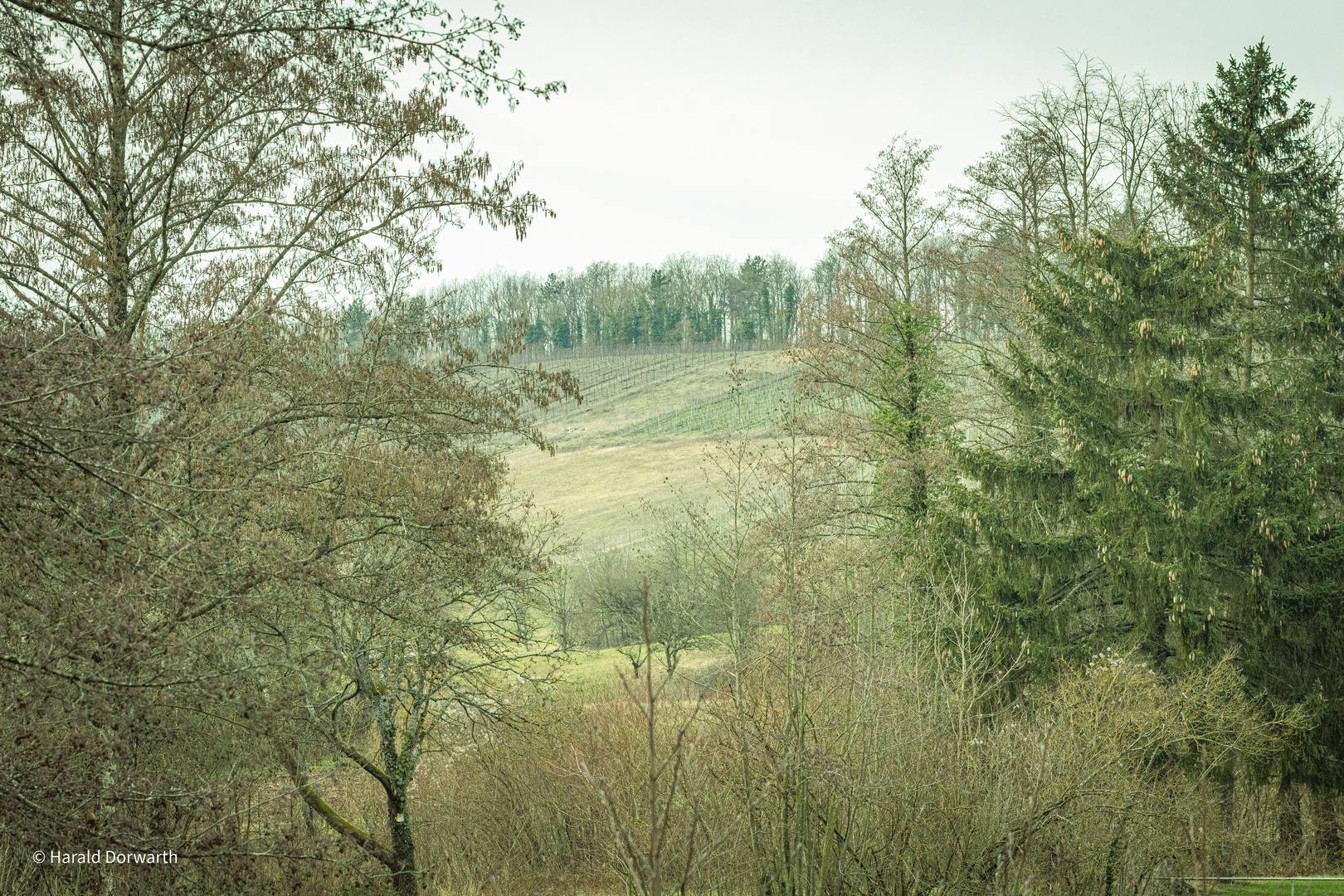 Blick vom Kreuzbergsee