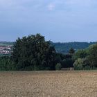 Blick vom Kuhberg auf Ulm